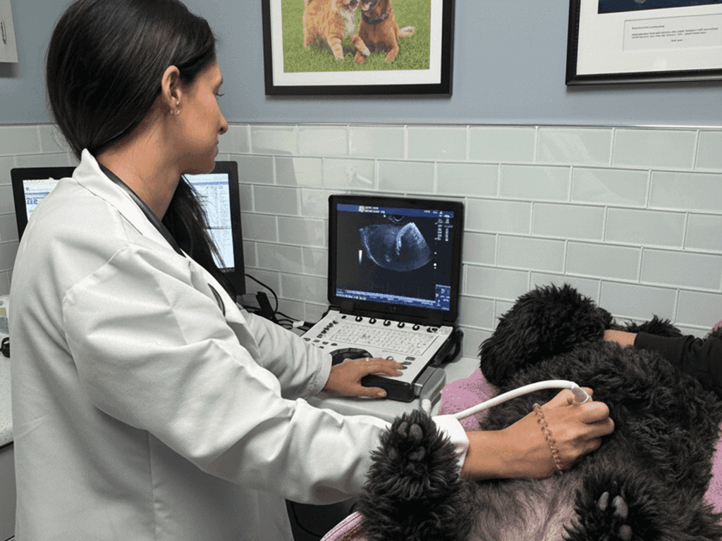 Dr. Amelia Khan at clinic