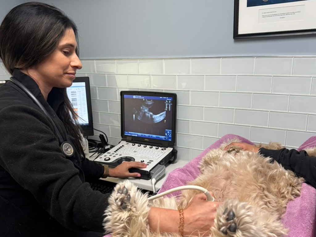 Dr. Amelia Khan at clinic