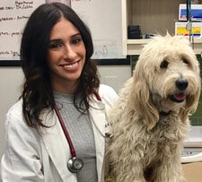 Dr. Amelia Khan with a canine patient in a Manhattan clinic exam room.